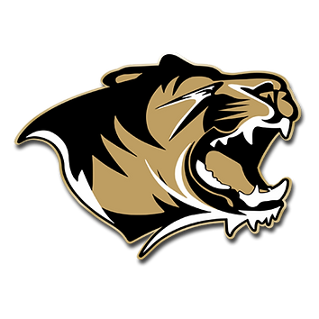 Tiger no background.png