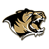 Tiger no background.png
